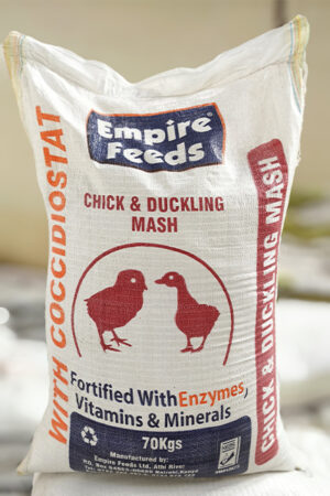 Chick Mash