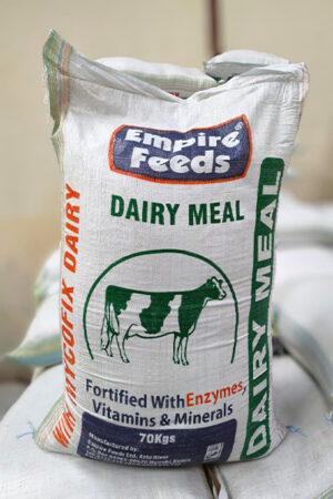 Dairy Meal