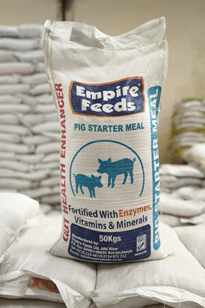 Pig Starter