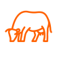 cow_512x512