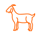 goat_0