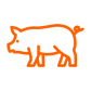pig_512x512